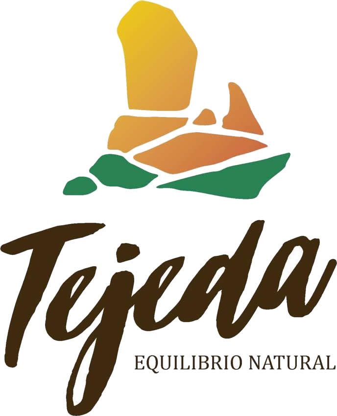 Ayuntamiento de Tejeda