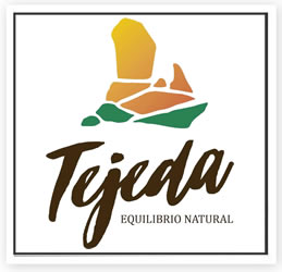 Ayuntamiento de Tejeda
